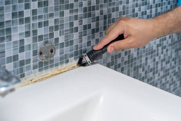 Best Mold Removal Near Me  in Williams, CA